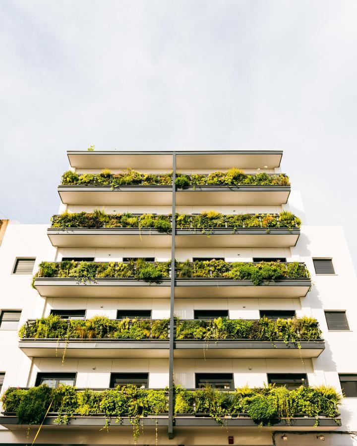 Treetriana * Seville